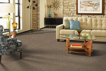 brown carpet living room